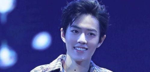 吃瓜者娱乐肖战粉丝,吃瓜者的娱乐盛宴